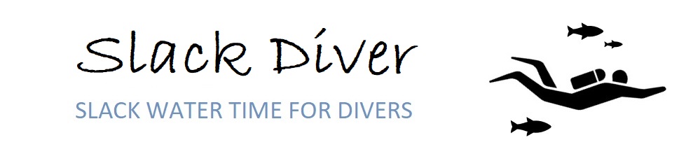 SLACKDIVER